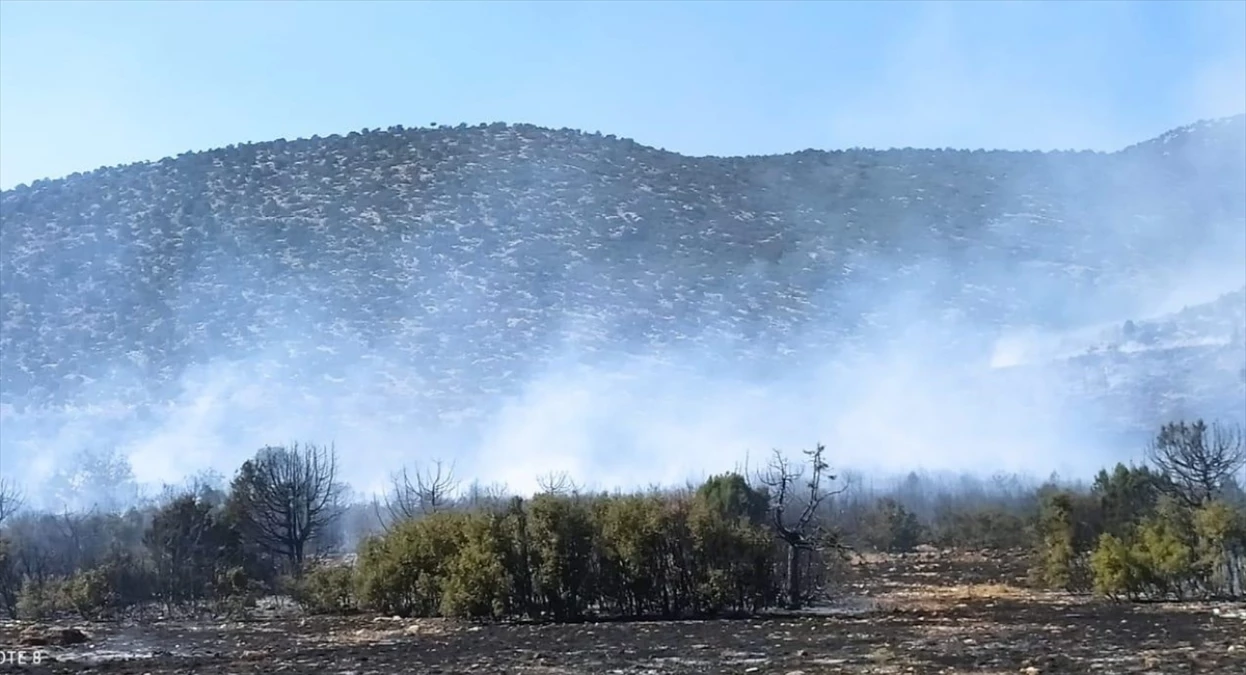 Isparta’da Orman Yangınına Müdahale Ediliyor